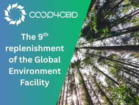 Featured image for The Global Environment Facility bolstered by new funding in pursuit of 2030 biodiversity targets