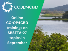 Featured image for CO-OP4CBD to organise online training sessions on SBSTTA-27 agenda items