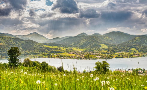 ECCB Workshop: Promoting UN CBD Activities in Central and Eastern Europe