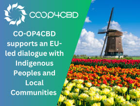 Featured image for CO-OP4CBD supports dialogue with Indigenous Peoples and Local Communities