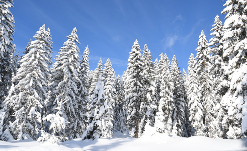 Training Session on Bioland Tool