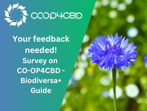 Featured image for Preview of the CO-OP4CBD - Biodiversa+ Guide to UN CBD Processes Now Available - Your Feedback Needed!