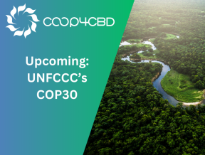 Featured image for Upcoming: UNFCCC’s COP30