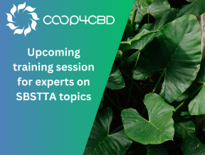 Featured image for Upcoming training session for experts on SBSTTA topics