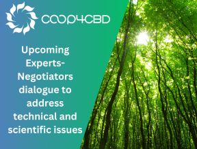 Featured image for Upcoming Experts-Negotiators dialogue to address technical and scientific issues