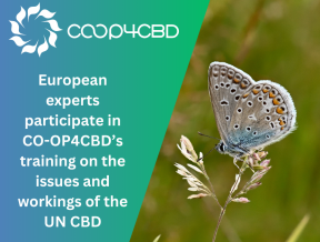 Featured image for European experts participate in CO-OP4CBD’s training on the issues and workings of the UN CBD