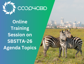 Featured image for Online Training Session on SBSTTA-26 Agenda Topics