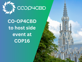 Featured image for CO-OP4CBD to Host Side Event at the 2024 United Nations Conference for Biodiversity (COP16)