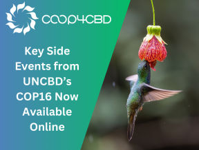 Featured image for Key Side Events from UNCBD’s COP16 Now Available Online: Discussion on the Role of the Science-Policy Interface in Biodiversity