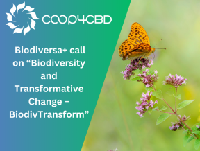 Featured image for New Research Call: Biodiversa+ Call on “Biodiversity and Transformative Change – BiodivTransform”