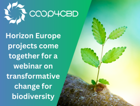Featured image for Horizon Europe projects come together for a webinar on transformative change for biodiversity