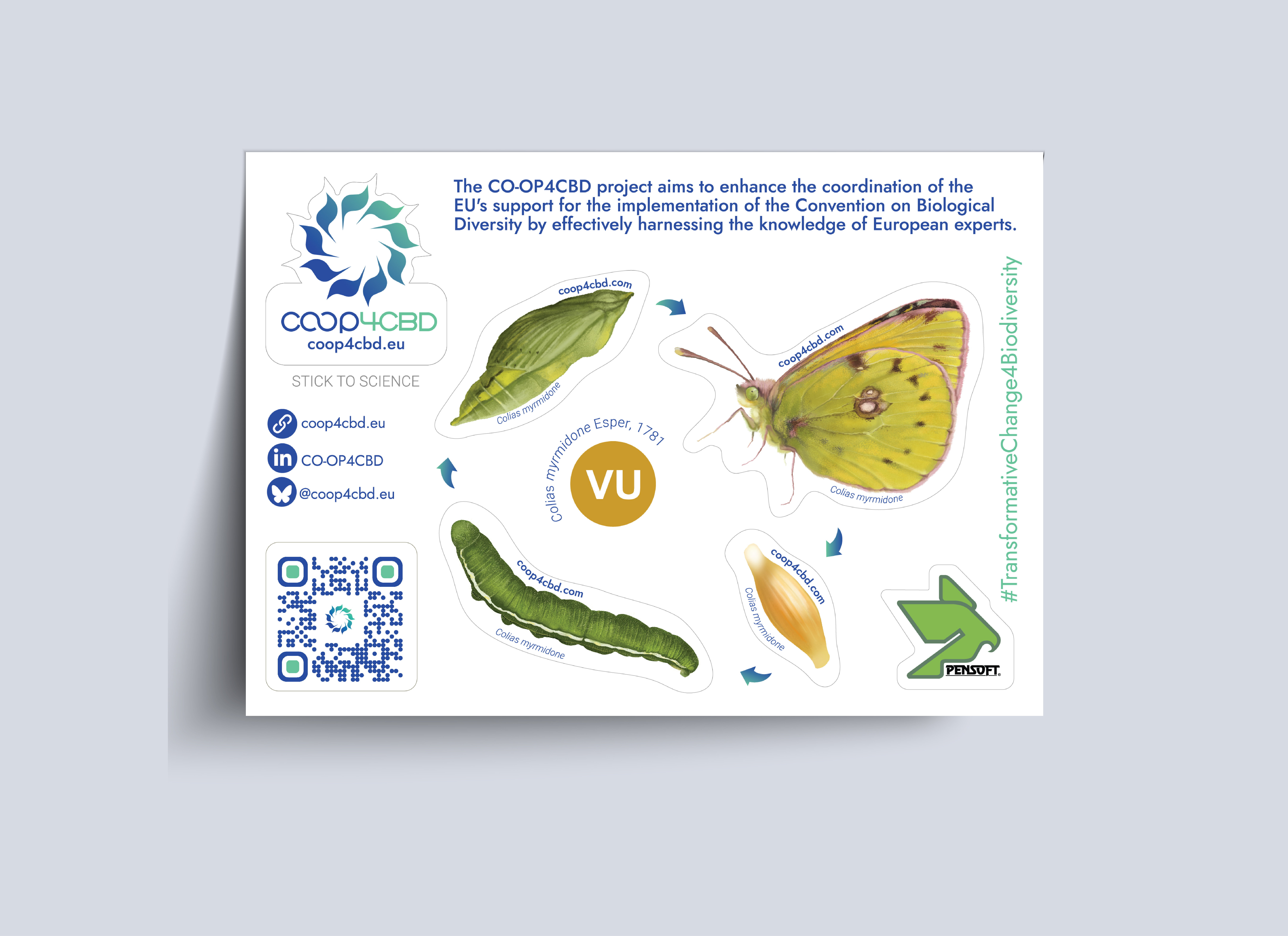 Sticker sheet preview image