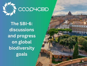 Featured image for The SBI-6: discussions and progress on global biodiversity goals