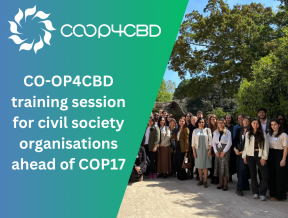 Featured image for CO-OP4CBD training session for civil society organisations ahead of COP17