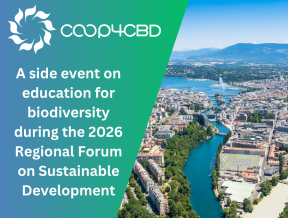 Featured image for A side event on education for biodiversity during the 2026 Regional Forum on Sustainable Development