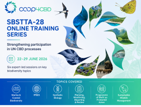 Featured image for Registration Open: CO-OP4CBD Online Training Series on SBSTTA-28 Agenda Items
