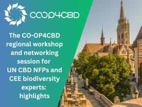 Featured image for The CO-OP4CBD regional workshop and networking session for Central and Eastern European UN CBD National Focal Points and biodiversity experts: highlights