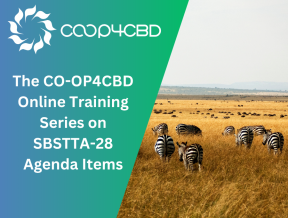 Featured image for The CO-OP4CBD Online Training Series on SBSTTA-28 Agenda Items