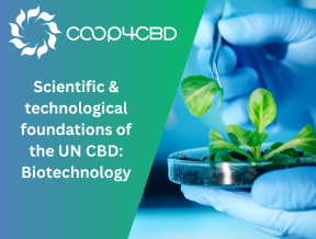 Featured image for Scientific and Technological Foundations of the UN CBD: Biotechnology