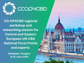 Featured image for Upcoming CO-OP4CBD regional workshop and networking session for CEE UN CBD National Focal Points and experts