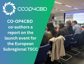 Featured image for CO-OP4CBD partners co-author new report on the launch of the European Subregional TSCC