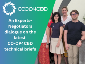 Featured image for An Experts-Negotiators dialogue on the latest CO-OP4CBD technical briefs