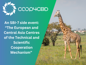 Featured image for An SBI-7 side event: “The European and Central Asia Centres of the Technical and Scientific Cooperation Mechanism”