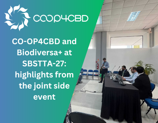 Featured image for CO-OP4CBD and Biodiversa+ at SBSTTA-27: highlights from the joint side event