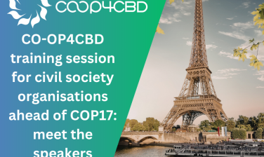 Featured image for CO-OP4CBD training session for civil society organisations ahead of COP17: meet the speakers