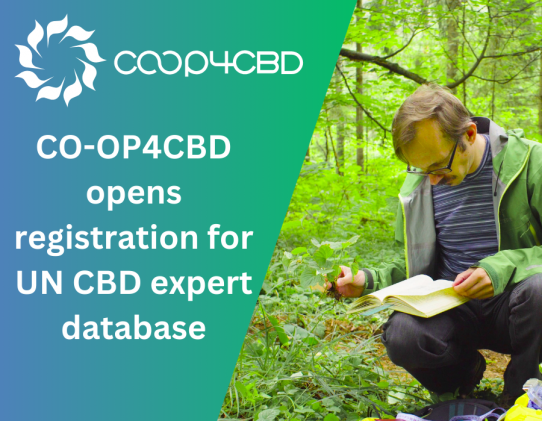 Featured image for CO-OP4CBD launches registration for a UN CBD expert database