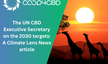 Featured image for The UN CBD Executive Secretary on the 2030 targets: A Climate Lens News article