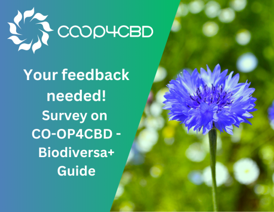 Featured image for Preview of the CO-OP4CBD - Biodiversa+ Guide to UN CBD Processes Now Available - Your Feedback Needed!