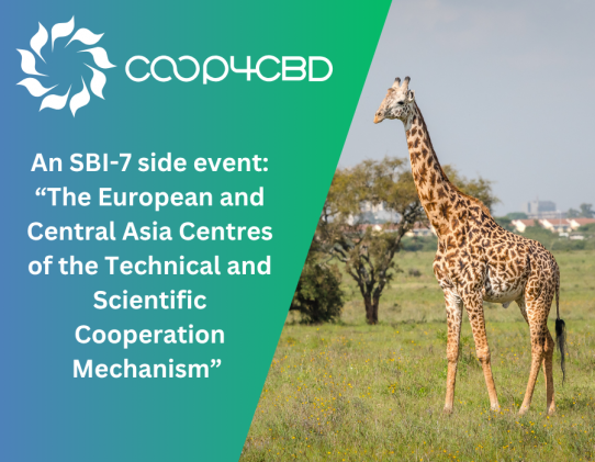 Featured image for An SBI-7 side event: “The European and Central Asia Centres of the Technical and Scientific Cooperation Mechanism”