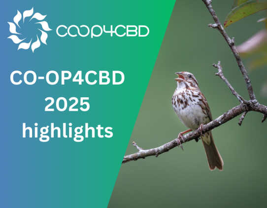 Featured image for CO-OP4CBD highlights of 2025