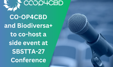 Featured image for CO-OP4CBD and Biodiversa+ to co-host a side event at SBSTTA-27 Conference