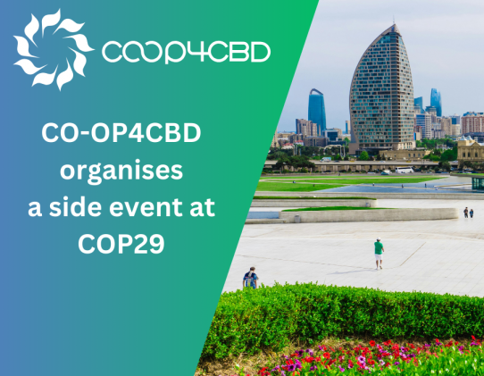 Featured image for CO-OP4CBD Joins the Global Conversation: Side Event on Open Science and Science Communication in the Science-Policy Interface at COP29