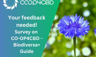 Featured image for Preview of the CO-OP4CBD - Biodiversa+ Guide to UN CBD Processes Now Available - Your Feedback Needed!