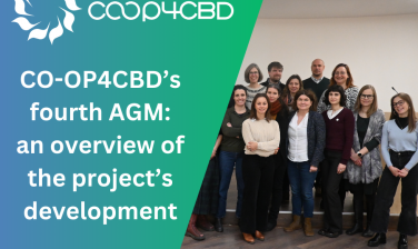Featured image for CO-OP4CBD’s fourth AGM: An Overview of the Project’s Development
