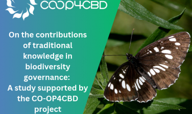 Featured image for On the contributions of traditional knowledge in biodiversity governance: A study, supported by the CO-OP4CBD project