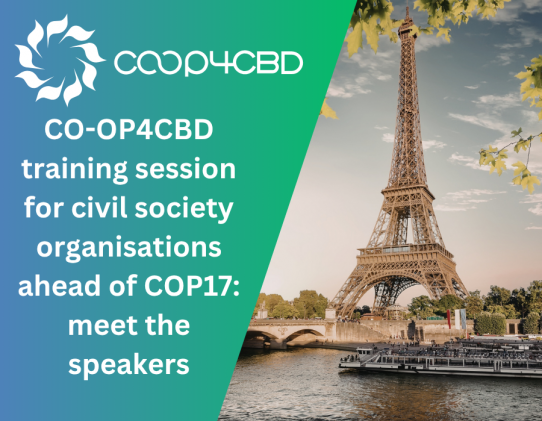 Featured image for CO-OP4CBD training session for civil society organisations ahead of COP17: meet the speakers