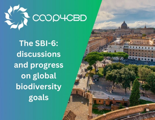 Featured image for The SBI-6: discussions and progress on global biodiversity goals