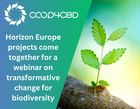 Featured image for Horizon Europe projects come together for a webinar on transformative change for biodiversity