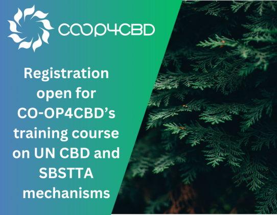 Featured image for Registration open for CO-OP4CBD’s training course on UN CBD and SBSTTA mechanisms