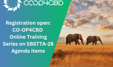 Featured image for Registration Open: CO-OP4CBD Online Training Series on SBSTTA-28 Agenda Items