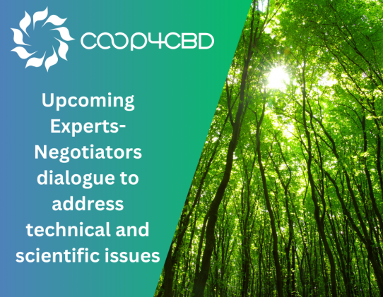 Featured image for Upcoming Experts-Negotiators dialogue to address technical and scientific issues