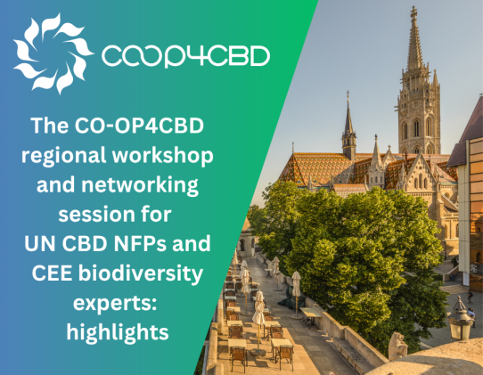 Featured image for The CO-OP4CBD regional workshop and networking session for Central and Eastern European UN CBD National Focal Points and biodiversity experts: highlights