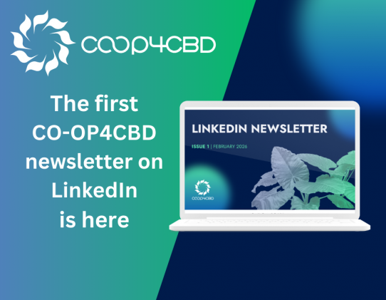 Featured image for The first CO-OP4CBD LinkedIn newsletter is here!