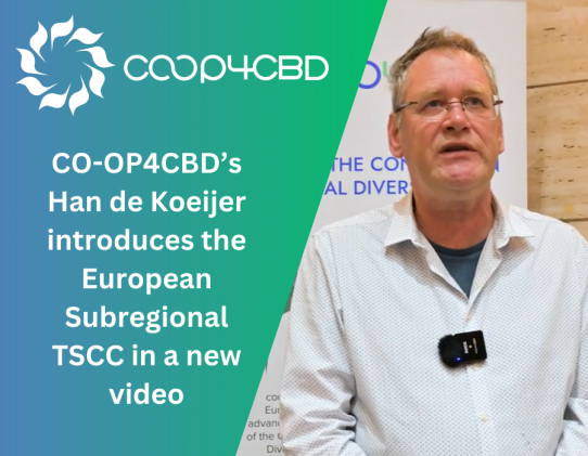 Featured image for CO-OP4CBD’s Han de Koeijer introduces the European Subregional TSCC in a new video