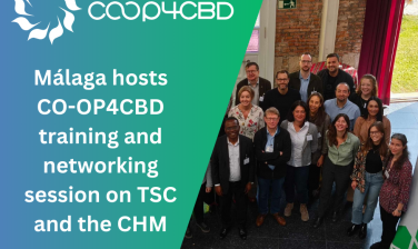 Featured image for Málaga hosts CO-OP4CBD training and networking session on the Clearing-House Mechanism and Technical and Scientific Cooperation in the context of the UN CBD