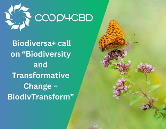 Featured image for New Research Call: Biodiversa+ Call on “Biodiversity and Transformative Change – BiodivTransform”